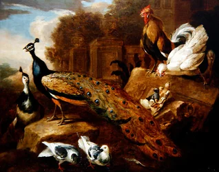 Pauwen, duiven en andere vogels en een klassiek gebouw