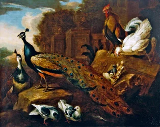 Pauwen, duiven en andere vogels en een klassiek gebouw