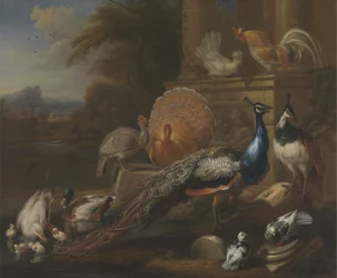 Pauwen, Duiven, Kalkoenen, Kippen en Eenden bij een Klassieke Ruïne