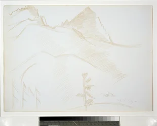 Berglandschap met Pijnbomen