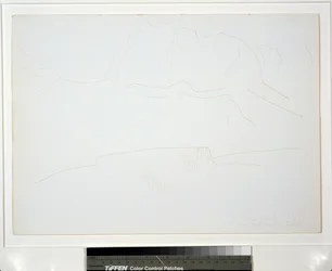 Berglandschap met bomen
