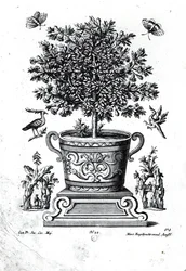 Sierboom in een urn op een klein podium