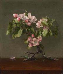 Appelbloesems, 1873