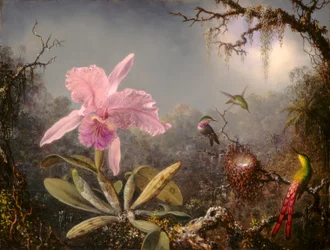 Cattleya-orchidee en drie kolibries
