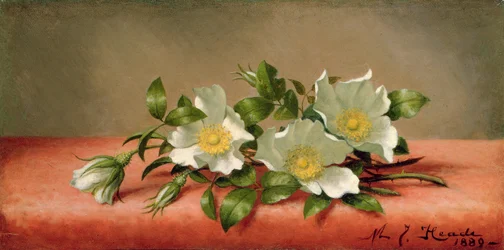 Cherokee Rozen, 1889