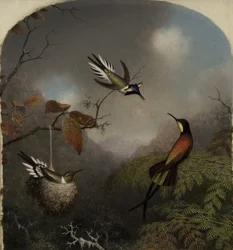 Kolibries: Twee zonjuwelen en een karmozijnrode topaas, 1866