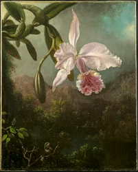 Orchideeënbloesems, 1873