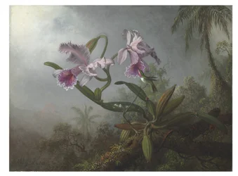 Roze orchideeën en kolibrie op een tak, 1875