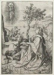 Sint Johannes de Evangelist op het Eiland Patmos