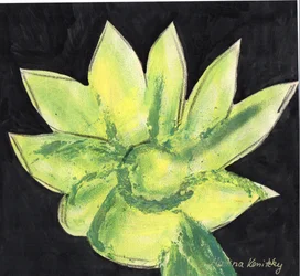 Cactus