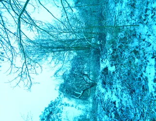 Winter Blauw