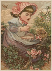 Meisje voert babyvogels