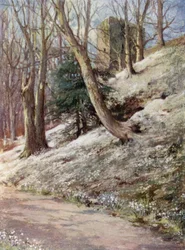 Schotse tuinen: Ardgowan