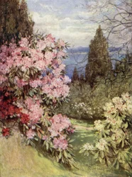 Schotse Tuinen: Stonefield