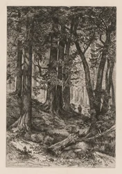 Interieur van een Californisch bos na Thomas Moran Amerikaans, 1837-1926, 1888