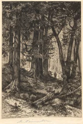 Zonder titel (Bosscène)