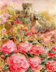 Rozen in Windsor tuinen