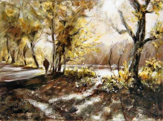Wandelen langs Rudyard meer