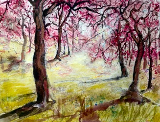 magenta bloesems