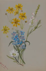 (Zonder titel, groep bloemen)