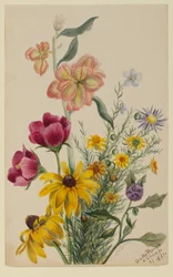 Groep bloemen