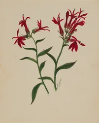 Zonder titel - Bloemenstudie