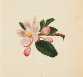 Zonder titel--Bloemenstudie, ca. 1876