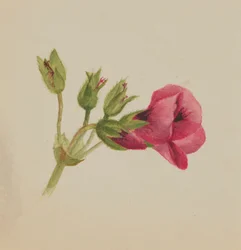 Zonder titel--Bloemenstudie, ca. 1876