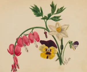 Zonder Titel - Gemengde Bloemen