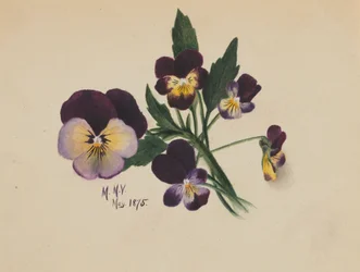 Zonder titel, viooltjes, 1875