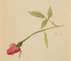 Zonder titel Roos, 1872