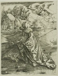 De vrouw met de uil