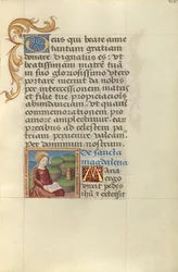 Heilige Maria Magdalena