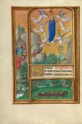 De Hemelvaart van de Maagd