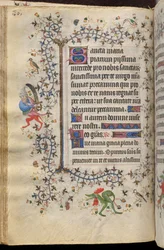 Getijden van Karel de Edele, koning van Navarra (1361-1425): fol. 43v, Tekst