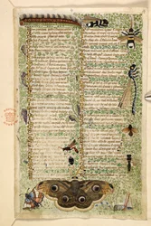 Wespen, motten, libellen en een rups, uit een Verhandeling over de Deugden en Ondeugden, en een anonieme prozageschiedenis van Sicilië