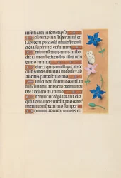 Getijdenboek van koningin Isabella de Katholieke, koningin van Spanje: Fol. 102r