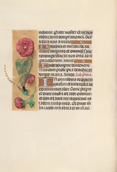 Getijdenboek van koningin Isabella de Katholieke, koningin van Spanje: Fol. 110v, ca. 1500