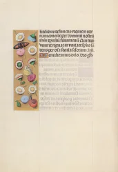 Getijdenboek van koningin Isabella de Katholieke, koningin van Spanje: Fol. 135v