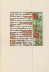 Getijdenboek van koningin Isabella de Katholieke, koningin van Spanje: Fol. 152r, ca. 1500