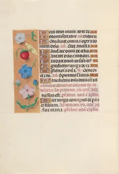 Getijdenboek van koningin Isabella de Katholieke, koningin van Spanje: Fol. 164v, ca. 1500