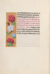 Getijdenboek van koningin Isabella de Katholieke, koningin van Spanje: Fol. 166v