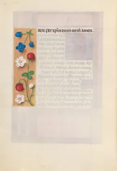 Uren van koningin Isabella de Katholieke, koningin van Spanje: Fol. 198v