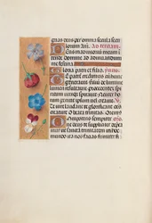 Getijdenboek van koningin Isabella de Katholieke, koningin van Spanje: Fol. 19v, ca. 1500