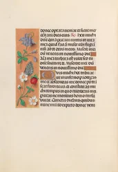 Uren van koningin Isabella de Katholieke, koningin van Spanje: Fol. 238v, ca. 1500