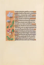 Uren van Koningin Isabella de Katholieke, Koningin van Spanje: Fol. 239v, c. 1500