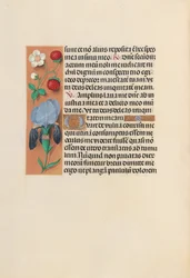 Uren van Koningin Isabella de Katholieke, Koningin van Spanje: Fol. 245v, ca. 1500