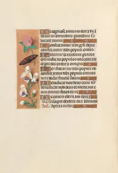 Getijdenboek van Koningin Isabella de Katholieke, Koningin van Spanje: Fol. 250v, c. 1500