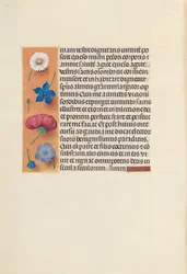 Getijdenboek van koningin Isabella de Katholieke, koningin van Spanje: Fol. 263v, Mis van St. Gregorius, ca. 1500