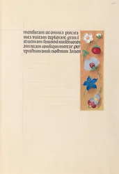 Getijdenboek van koningin Isabella de Katholieke, koningin van Spanje: Fol. 269r, ca. 1500